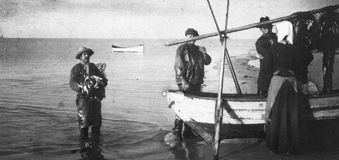 fiske-forr