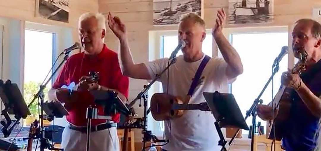the-ukulele-orchestra-of-sweden